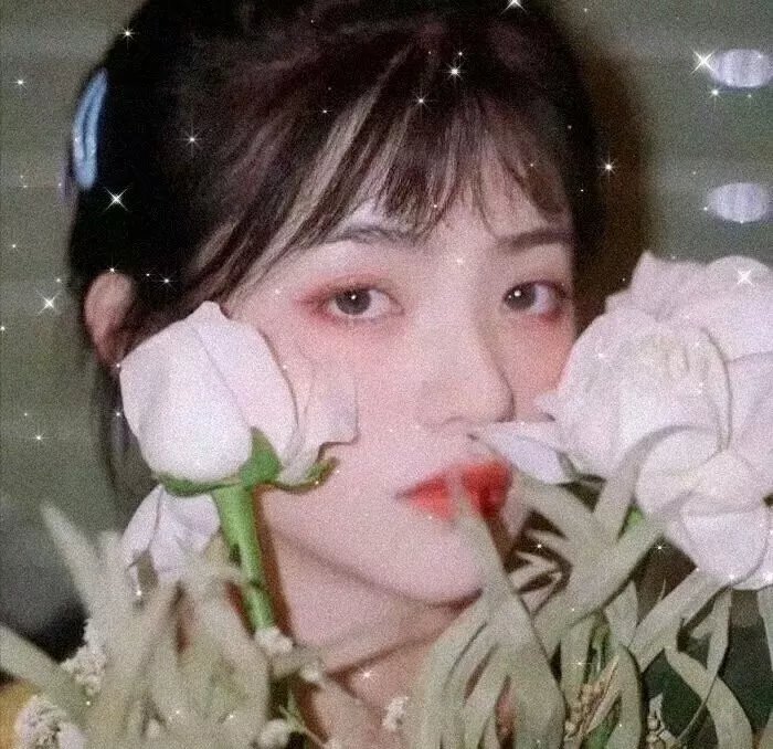 后宫1985